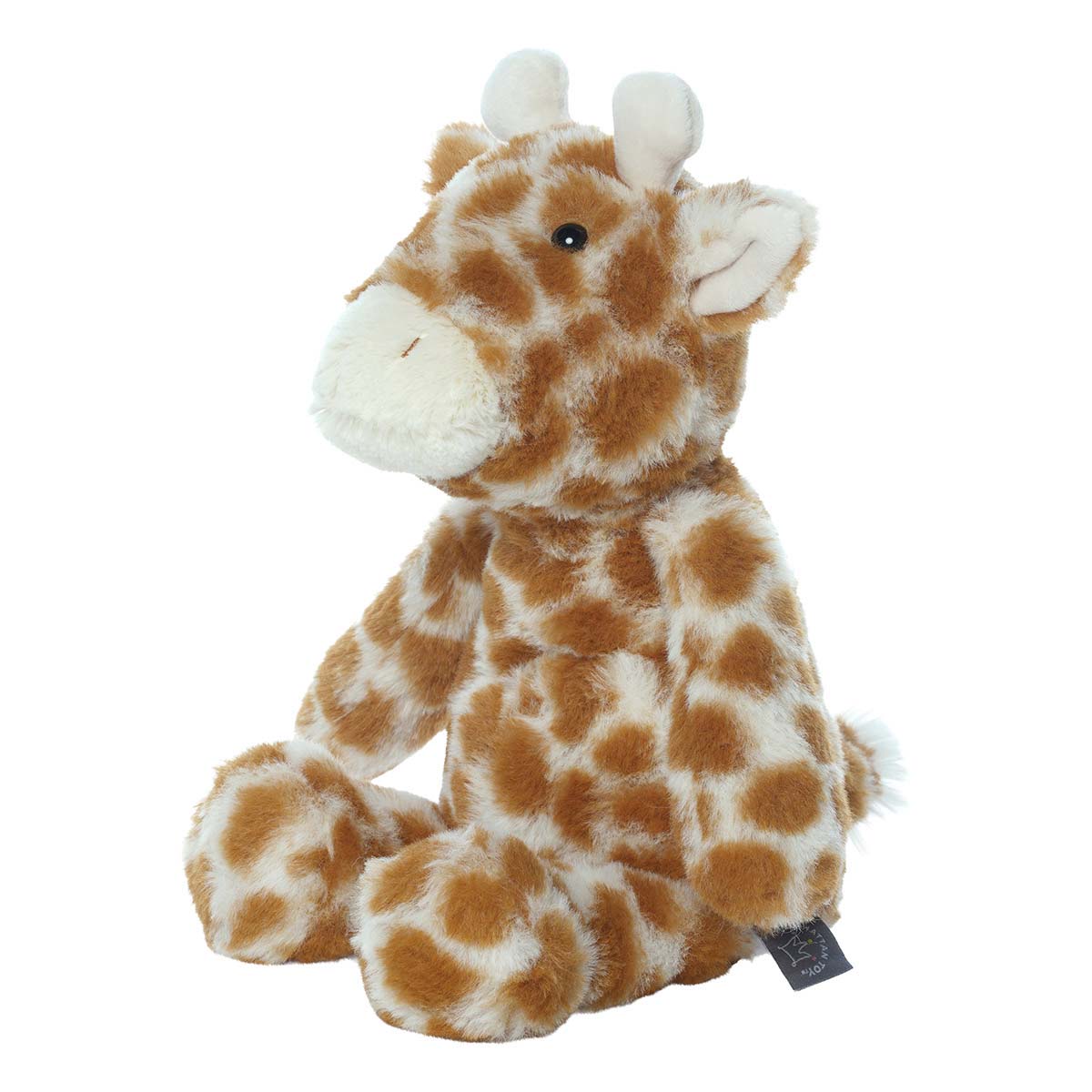 Giraffa
