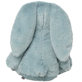 Blue Bunny