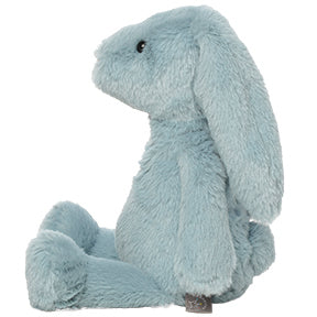 Blue Bunny
